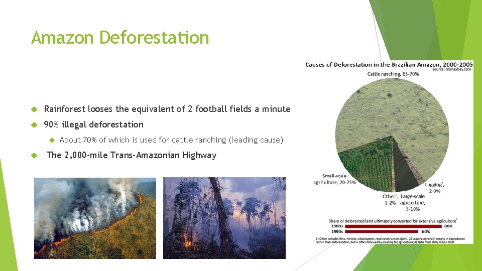 Amazon Deforestation Rainforest looses the equivalent of 2 football fields a minute 90% illegal