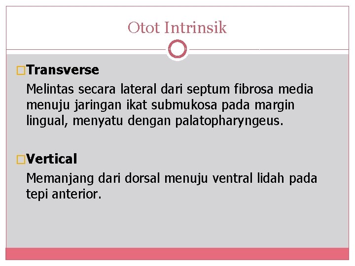 Otot Intrinsik �Transverse Melintas secara lateral dari septum fibrosa media menuju jaringan ikat submukosa