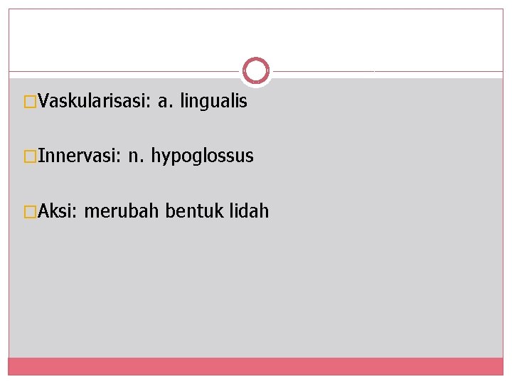 �Vaskularisasi: a. lingualis �Innervasi: n. hypoglossus �Aksi: merubah bentuk lidah 