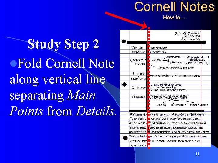Cornell Notes How to… Study Step 2 l. Fold Cornell Note along vertical line