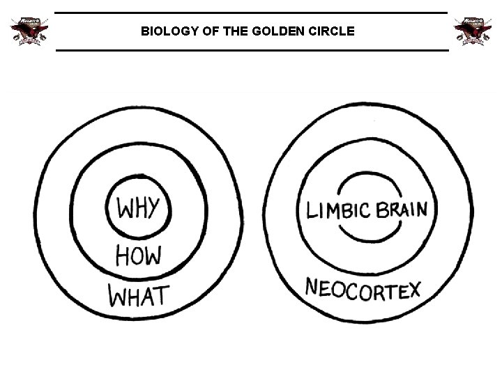 BIOLOGY OF THE GOLDEN CIRCLE 