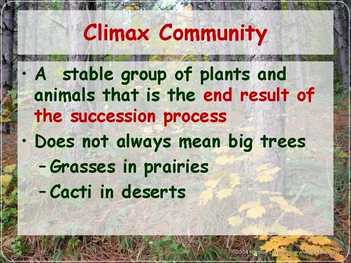 Climax Community • A stable group of plants and animals that is the end