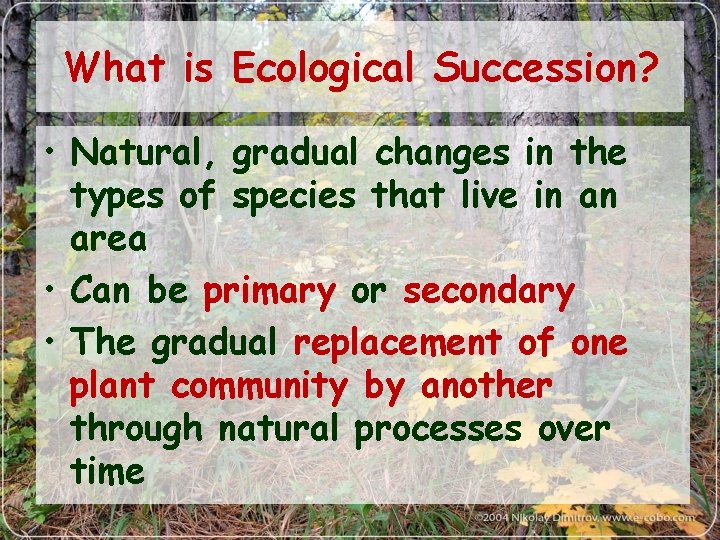 What is Ecological Succession? • Natural, gradual changes in the types of species that