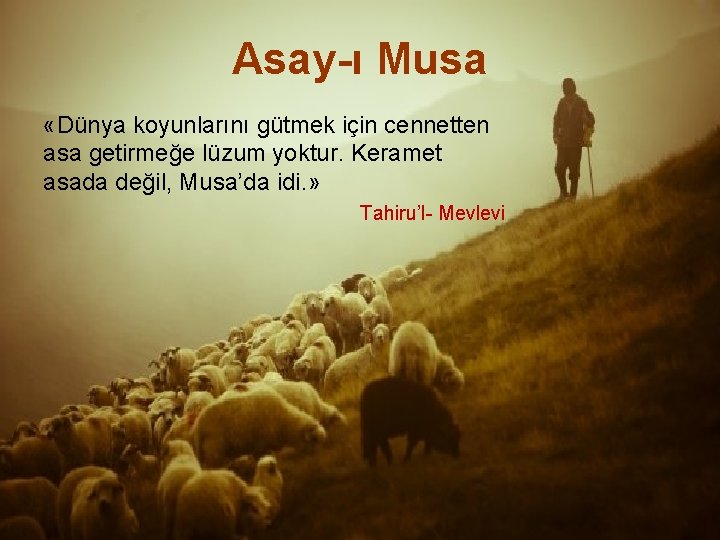 Asay-ı Musa «Dünya koyunlarını gütmek için cennetten asa getirmeğe lüzum yoktur. Keramet asada değil,