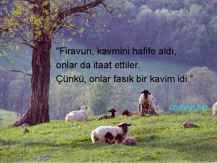 "Firavun, kavmini hafife aldı, onlar da itaat ettiler. Çünkü, onlar fasık bir kavim idi.