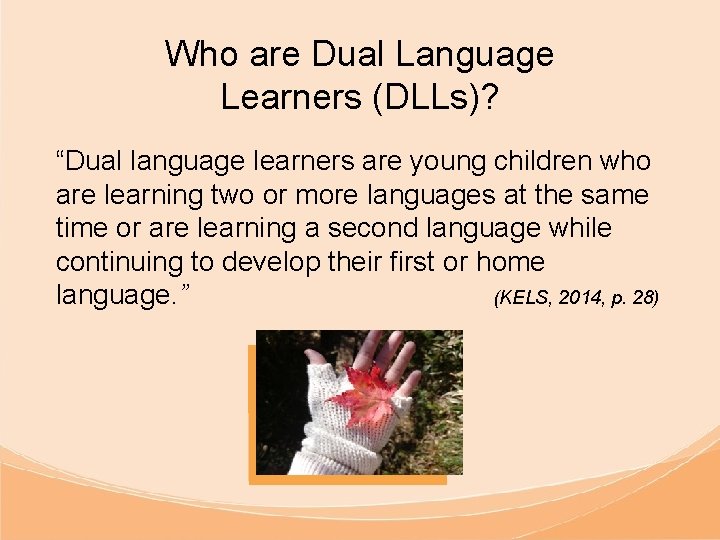 Who are Dual Language Learners (DLLs)? “Dual language learners are young children who are