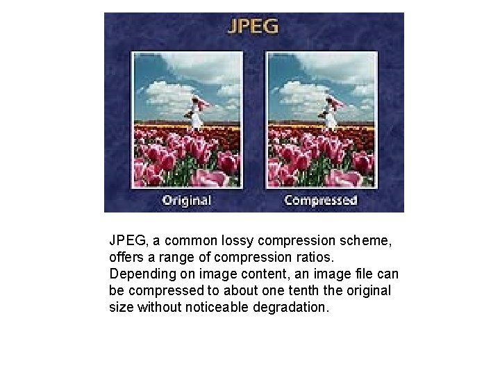 JPEG, a common lossy compression scheme, offers a range of compression ratios. Depending on