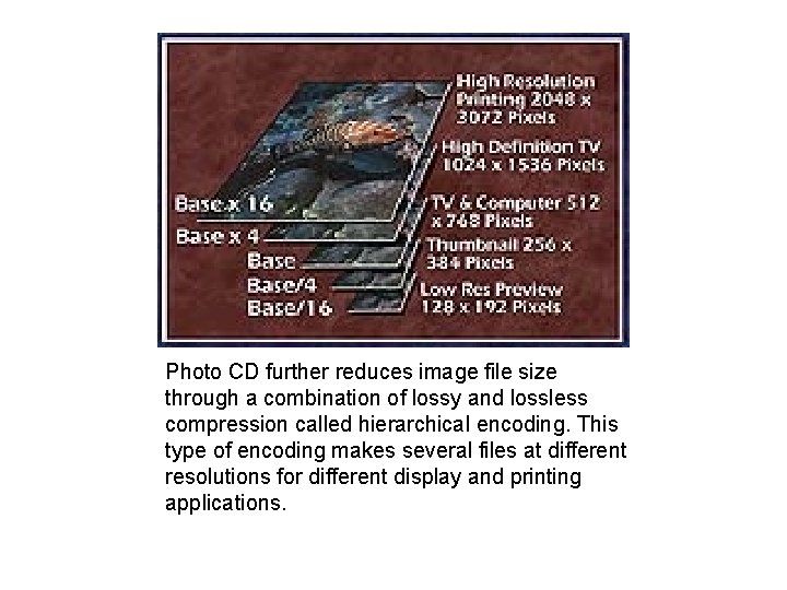 Photo CD further reduces image file size through a combination of lossy and lossless
