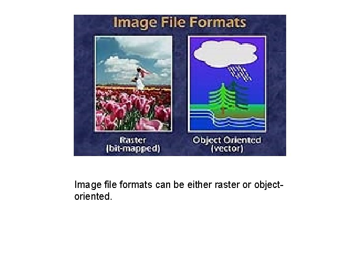 Image file formats can be either raster or objectoriented. 