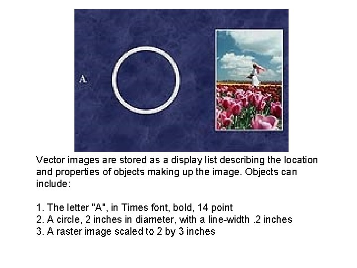 Vector images are stored as a display list describing the location and properties of