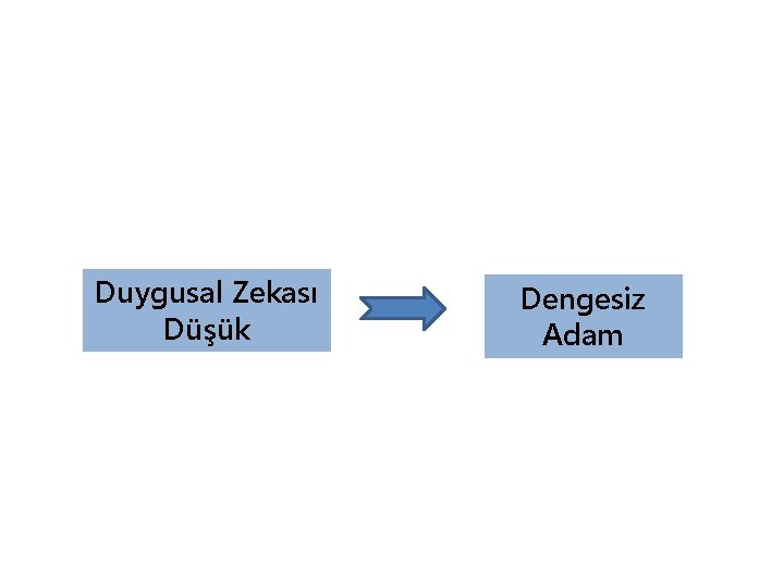 Duygusal Zekası Düşük Dengesiz Adam 