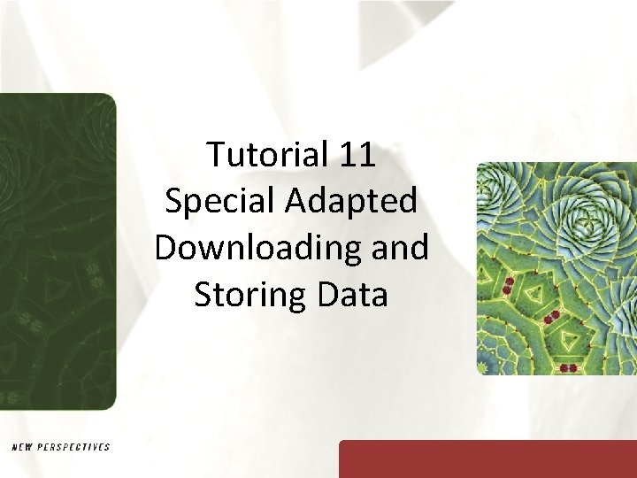 Tutorial 11 Special Adapted Downloading and Storing Data 