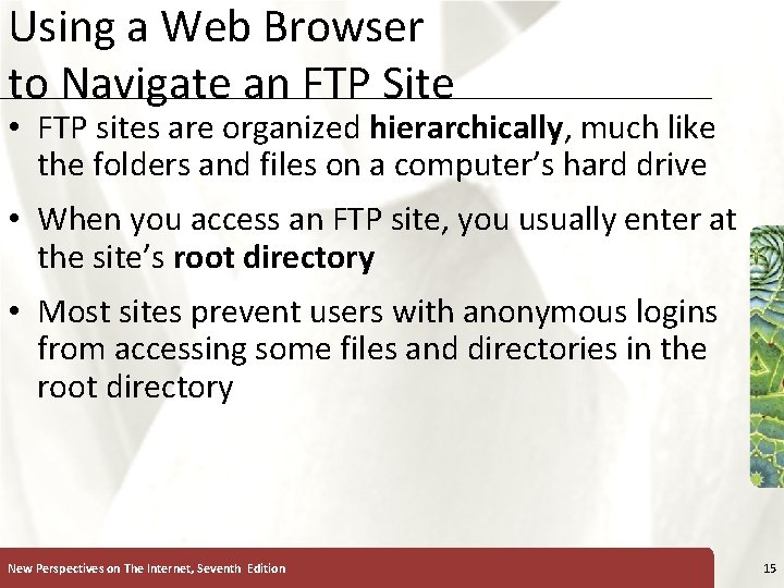 Using a Web Browser to Navigate an FTP Site XP • FTP sites are