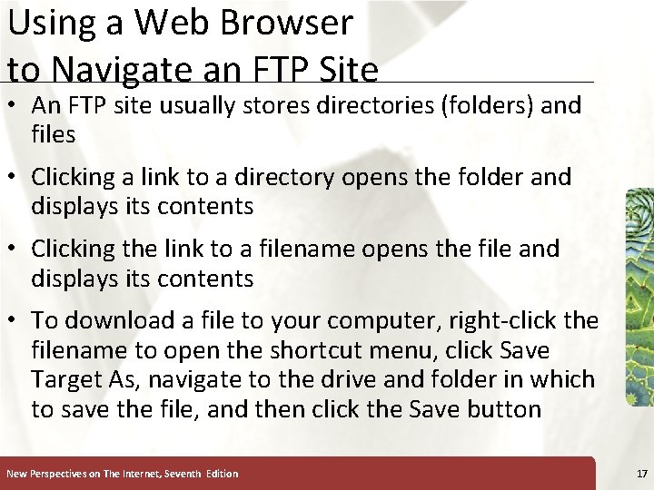 Using a Web Browser to Navigate an FTP Site XP • An FTP site