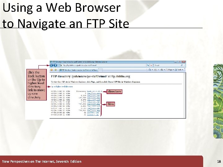 Using a Web Browser to Navigate an FTP Site New Perspectives on The Internet,