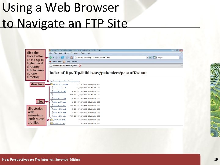 Using a Web Browser to Navigate an FTP Site New Perspectives on The Internet,