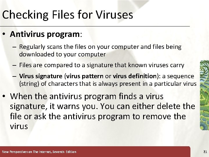 Checking Files for Viruses XP • Antivirus program: – Regularly scans the files on
