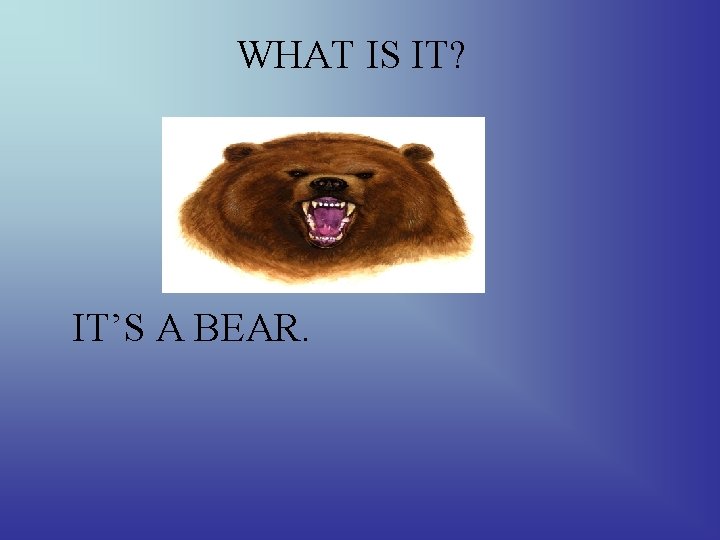 WHAT IS IT? IT’S A BEAR. 