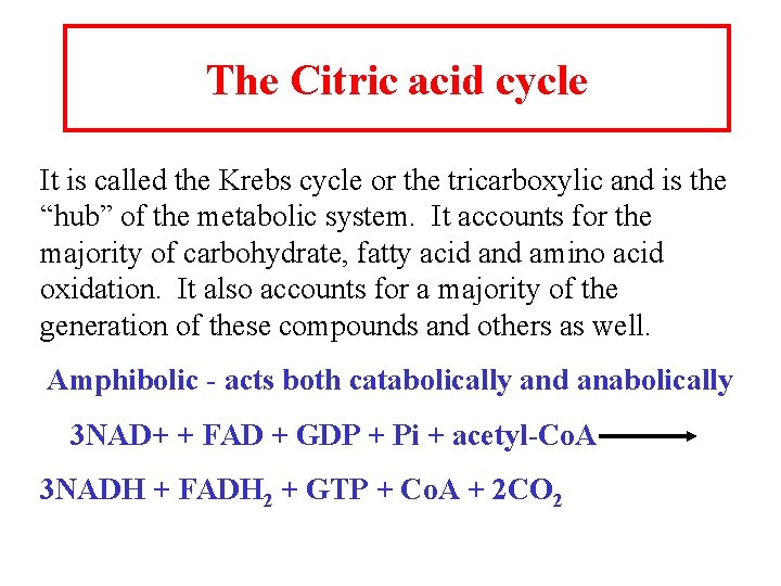 The Citric acid cycle It is called the Krebs cycle or the tricarboxylic and