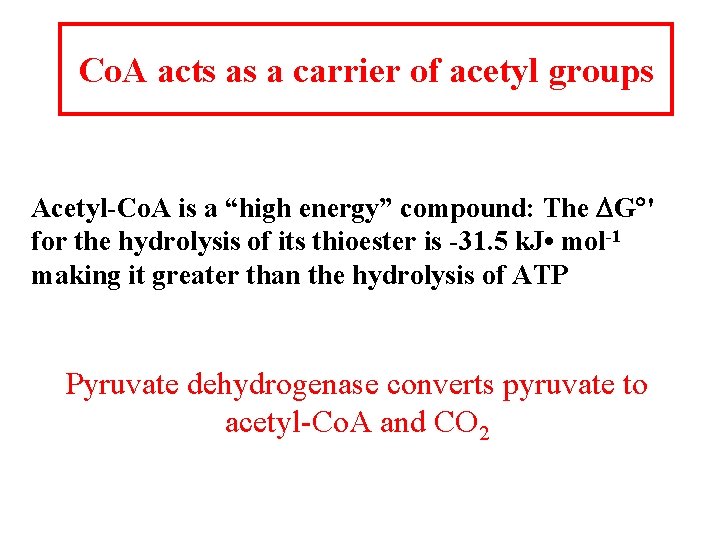 Co. A acts as a carrier of acetyl groups Acetyl-Co. A is a “high