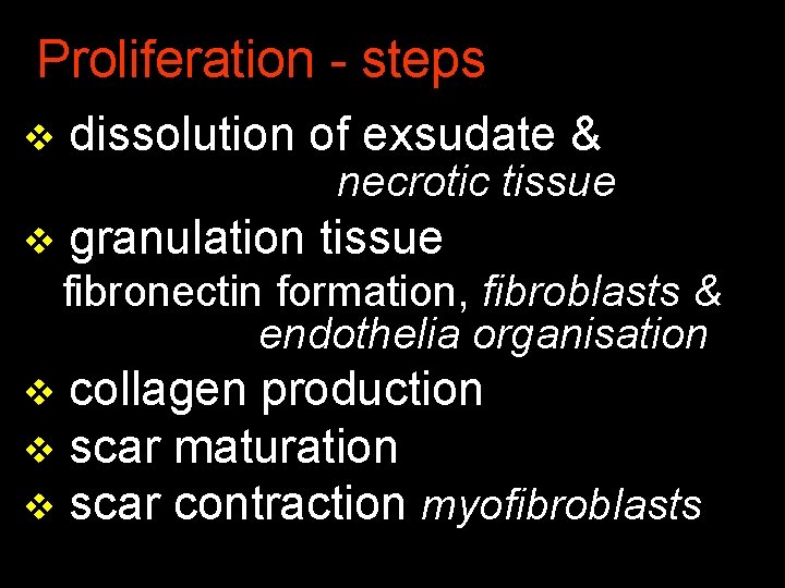 Proliferation - steps v dissolution of exsudate & v granulation tissue necrotic tissue fibronectin