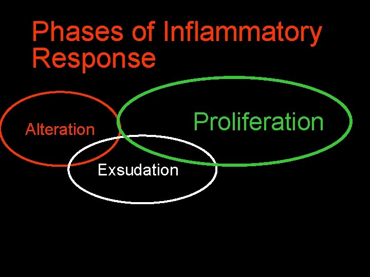 Phases of Inflammatory Response Proliferation Alteration Exsudation 