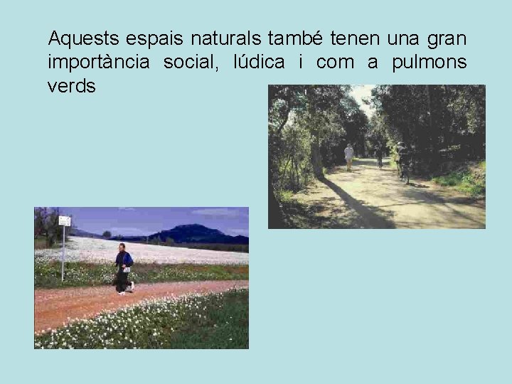 Aquests espais naturals també tenen una gran importància social, lúdica i com a pulmons