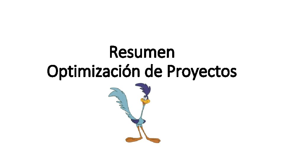 Resumen Optimización de Proyectos 