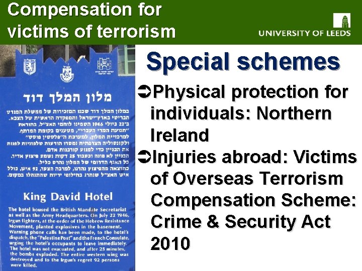 Compensation for victims of terrorism Special schemes ÜPhysical protection for individuals: Northern Ireland ÜInjuries