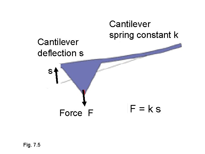 Cantilever deflection s Cantilever spring constant k s Force F Fig. 7. 5 F=ks Cantilever deflection s Cantilever spring constant k s Force F Fig. 7. 5 F=ks