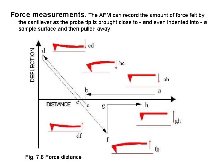 Force measurements. The AFM can record the amount of force felt by the cantilever Force measurements. The AFM can record the amount of force felt by the cantilever