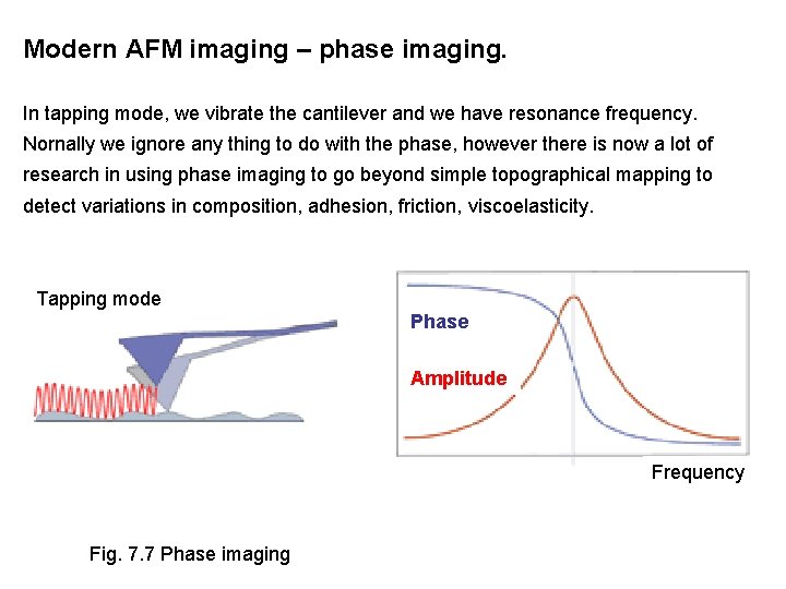 Modern AFM imaging – phase imaging. In tapping mode, we vibrate the cantilever and Modern AFM imaging – phase imaging. In tapping mode, we vibrate the cantilever and