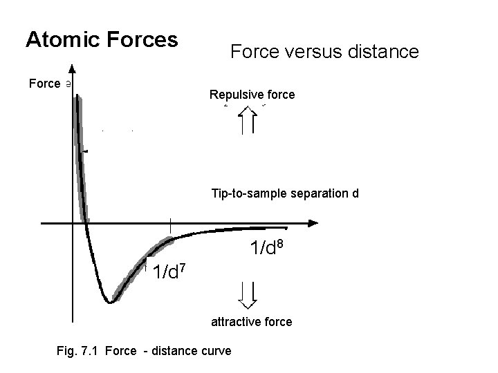 Atomic Forces Force versus distance Repulsive force Tip-to-sample separation d 1/d 8 1/d 7 Atomic Forces Force versus distance Repulsive force Tip-to-sample separation d 1/d 8 1/d 7