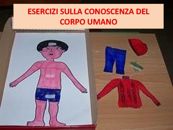 ESERCIZI SULLA CONOSCENZA DEL CORPO UMANO ESERCIZI SULLA CONOSCENZA DEL CORPO UMANO