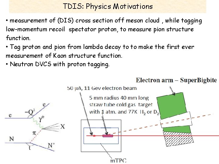 TDIS: Physics Motivations • measurement of (DIS) cross section off meson cloud , while