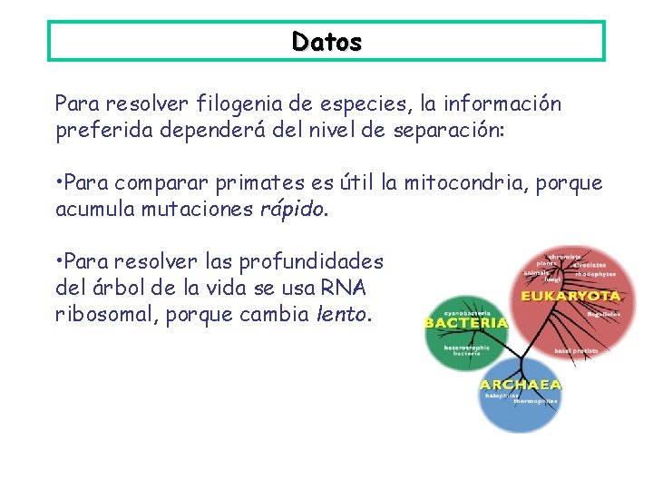 Datos Para resolver filogenia de especies, la información preferida dependerá del nivel de separación: