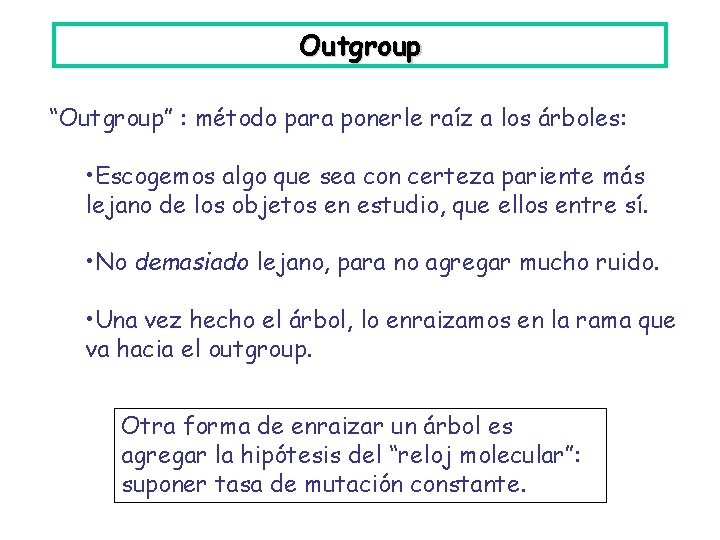 Outgroup “Outgroup” : método para ponerle raíz a los árboles: • Escogemos algo que