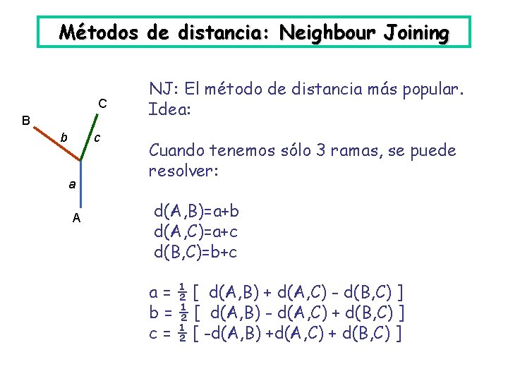 Métodos de distancia: Neighbour Joining C B b c a A NJ: El método