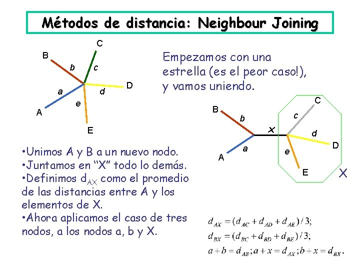 Métodos de distancia: Neighbour Joining C B b c a A d D Empezamos