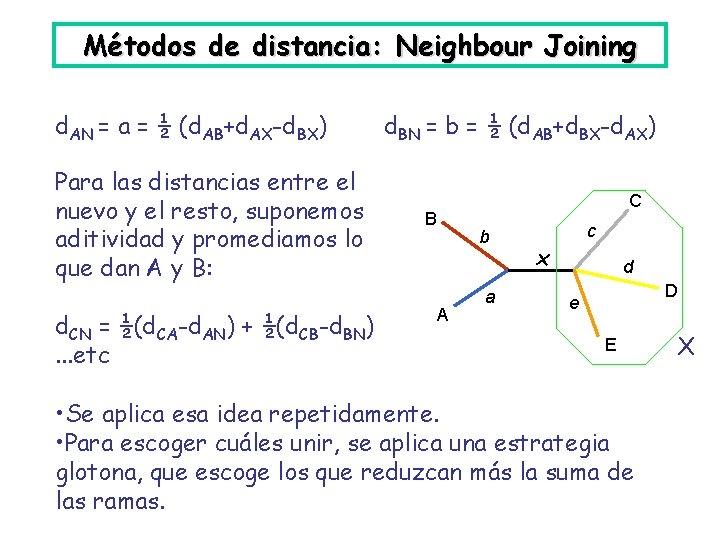 Métodos de distancia: Neighbour Joining d. AN = a = ½ (d. AB+d. AX-d.