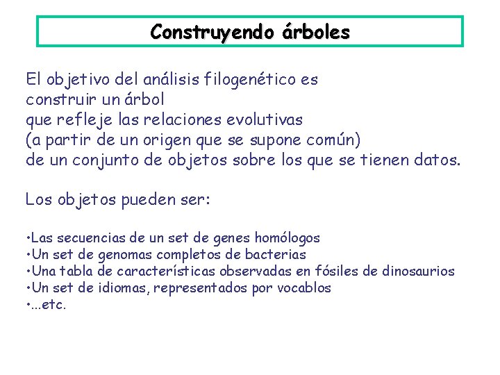 Construyendo árboles El objetivo del análisis filogenético es construir un árbol que refleje las