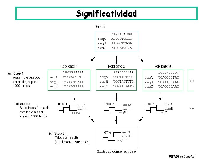 Significatividad 