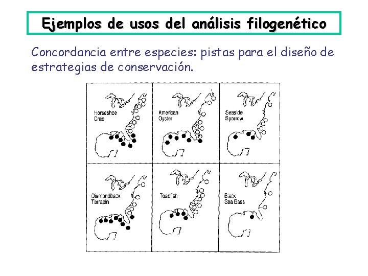 Ejemplos de usos del análisis filogenético Concordancia entre especies: pistas para el diseño de