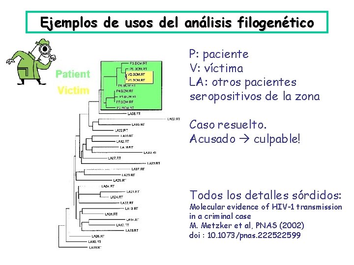 Ejemplos de usos del análisis filogenético P: paciente V: víctima LA: otros pacientes seropositivos