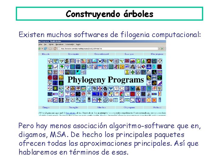 Construyendo árboles Existen muchos softwares de filogenia computacional: Pero hay menos asociación algoritmo-software que