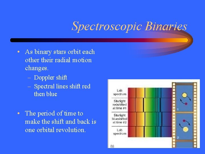 Spectroscopic Binaries • As binary stars orbit each other their radial motion changes. –