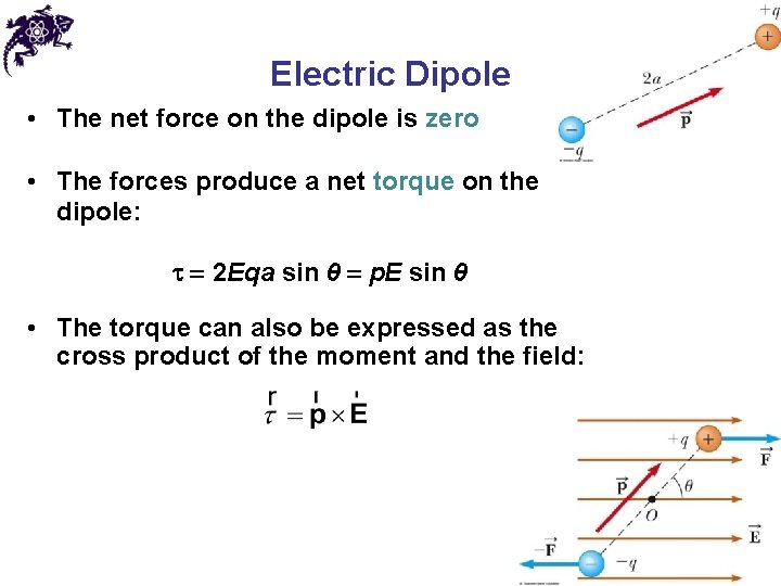 Electric Dipole • The net force on the dipole is zero • The forces