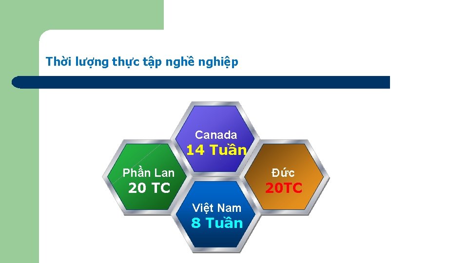 Thời lượng thực tập nghề nghiệp Canada 14 Tuần Phần Lan Đức 20 TC