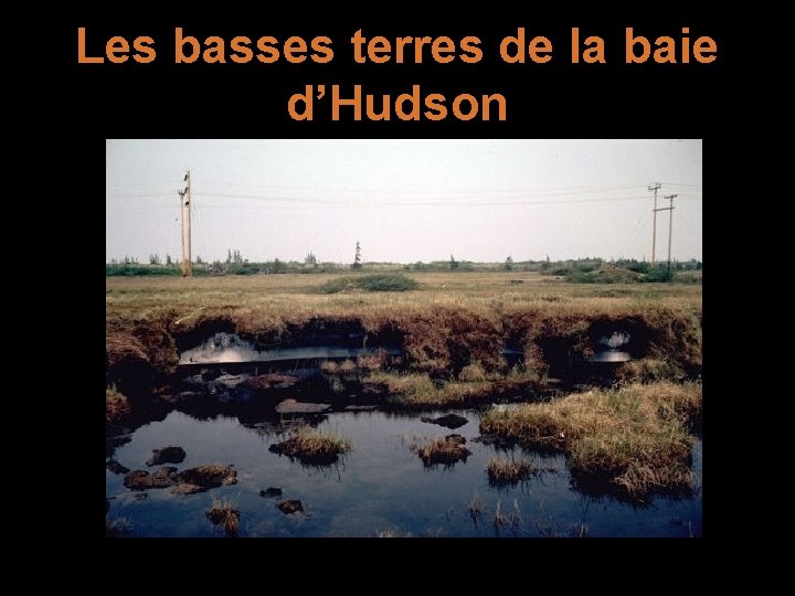 Les basses terres de la baie d’Hudson 