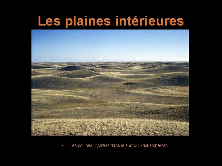 Les plaines intérieures • Les collines Cypress dans le sud du Saskatchewan 